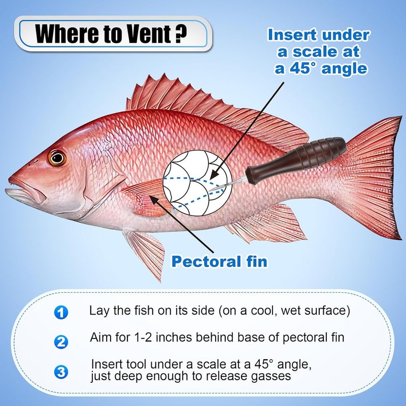Feekoon Fish Venting Tool, Venting Kit for Deep Sea Fishes with Stainless Steel Needle, Fishing Tackle for Saltwater Fishing Fish Release and Return (Patent Pending) - Image 4